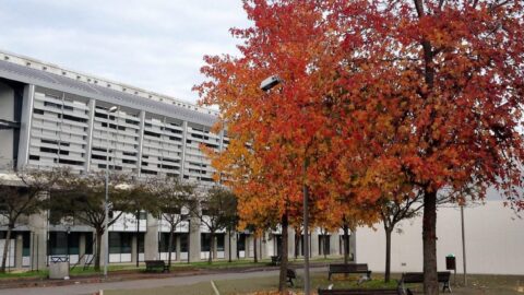 Department of Industrial, Electronic and Mechanical Engineering