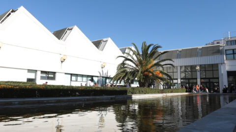 courtyard in front of the buildings of the Humanities Area