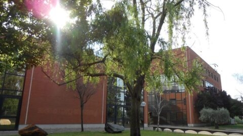 Some buildings in the headquarters of the Department of Mathematics and Physics