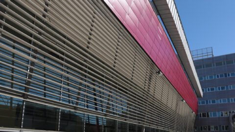 Department of Business Economics