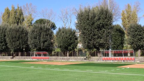 Alfredo Berra Stadium