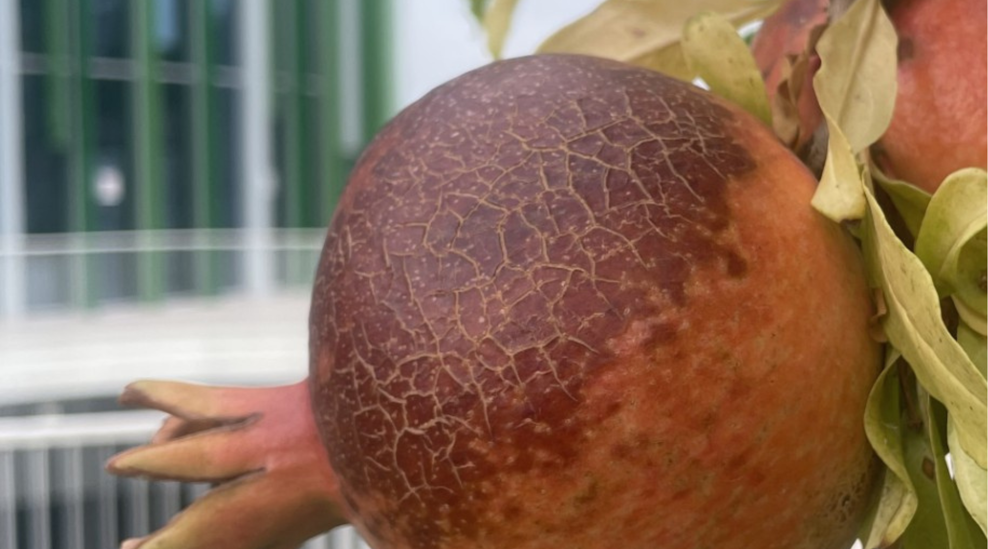 Roma3-contro-le-Mafie