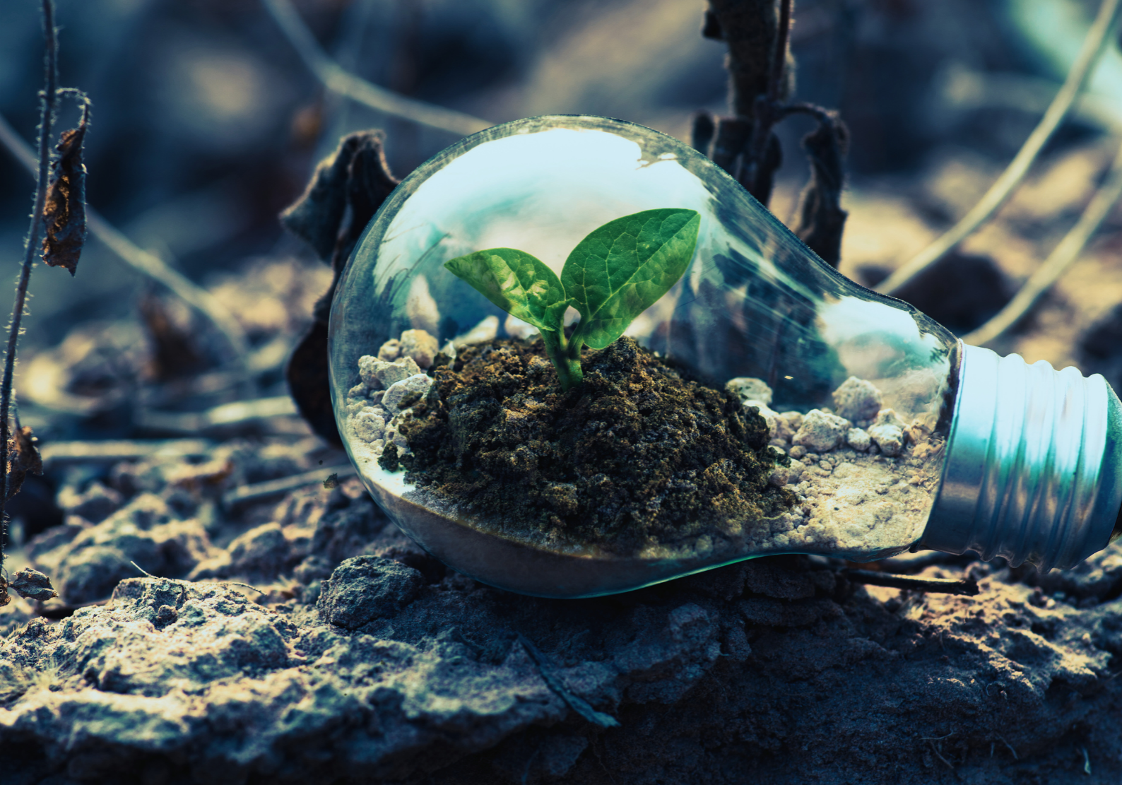 Environmental Education